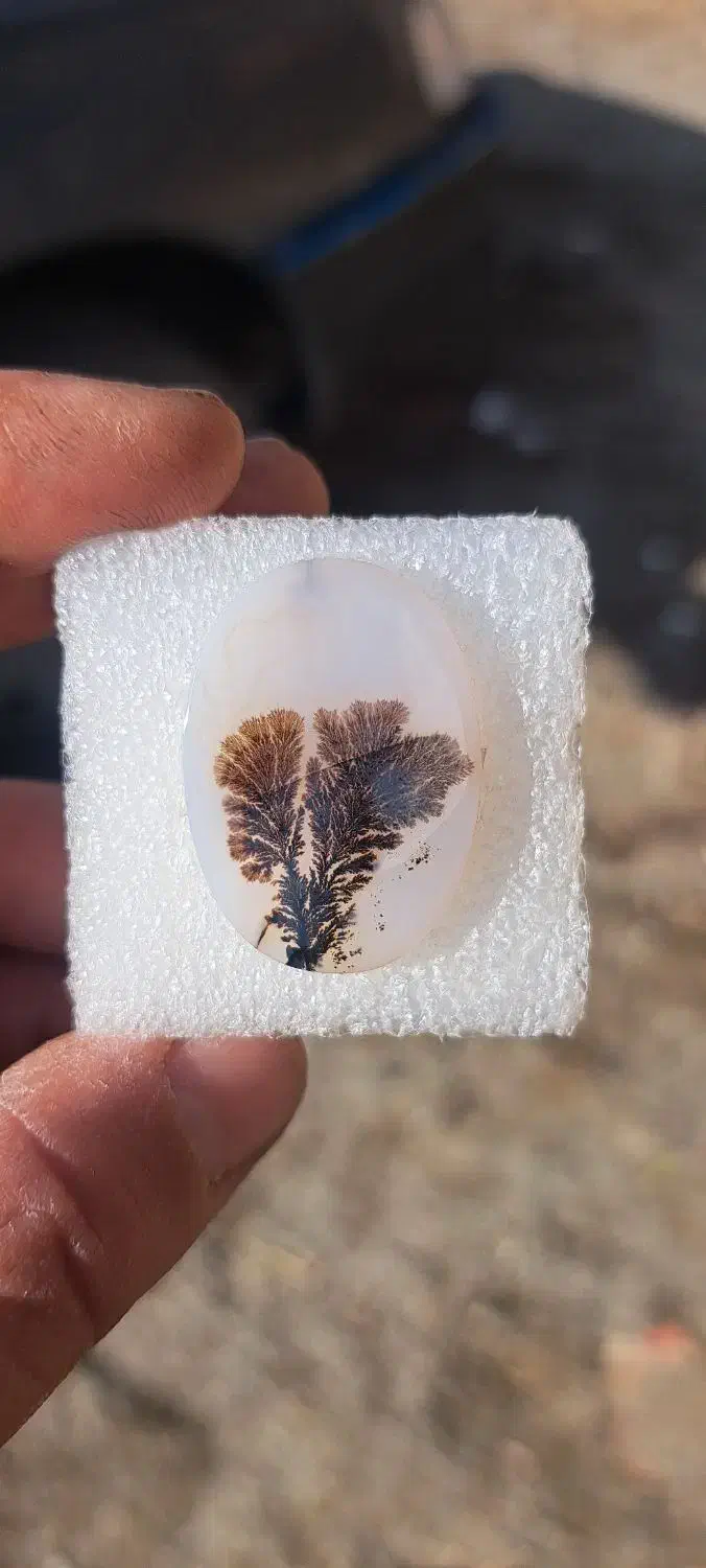 سنگ شجر|جواهرات|ورامین, ورامین|دیوار