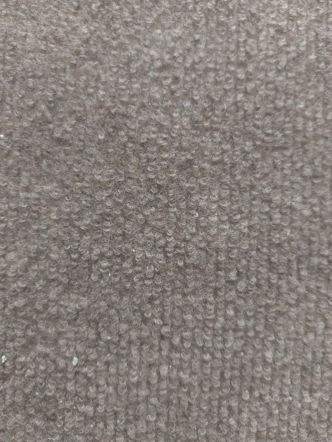 موکت|موکت|مشهد, گلبرگ شمالی|دیوار