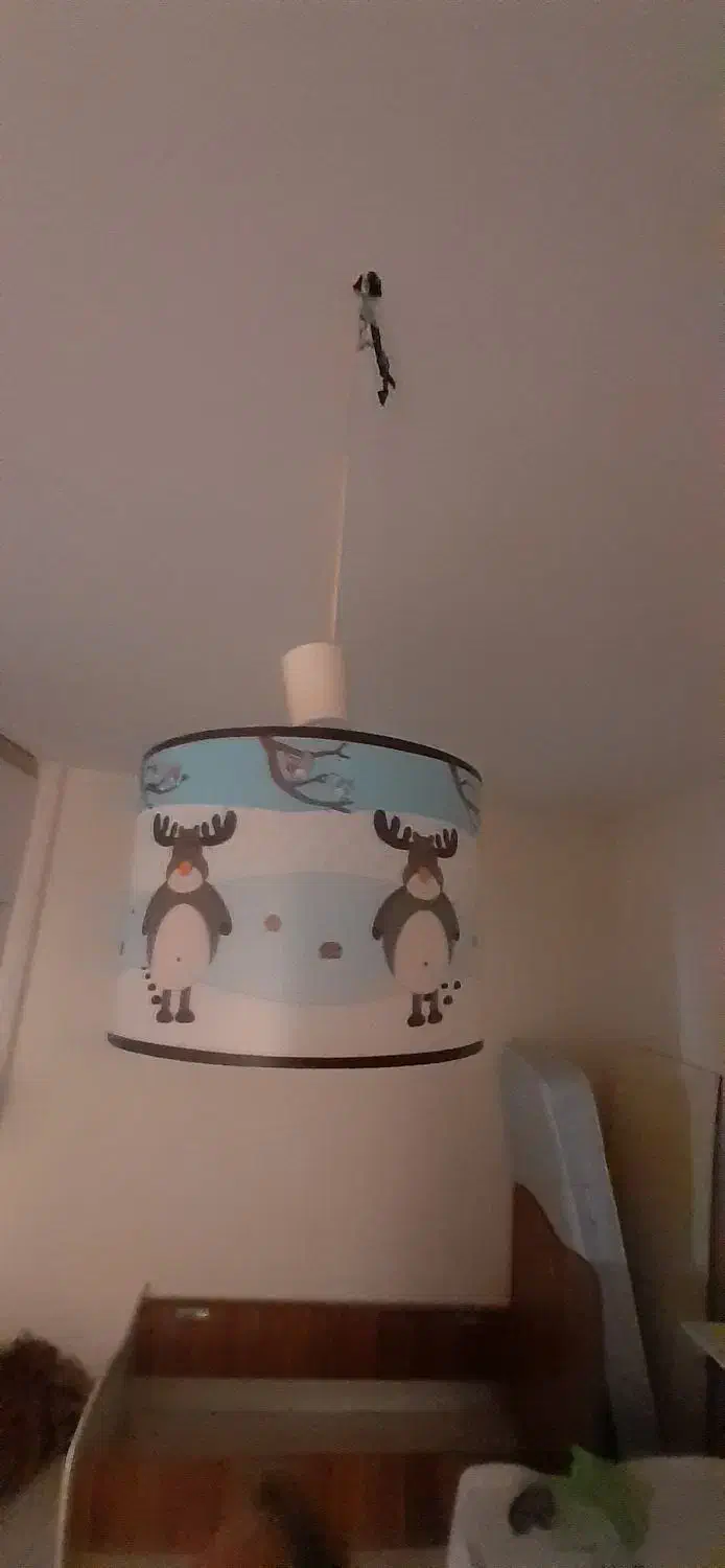 آباژور و لوستر کودک|چراغ خواب و آباژور|پرند, فاز ۶|دیوار