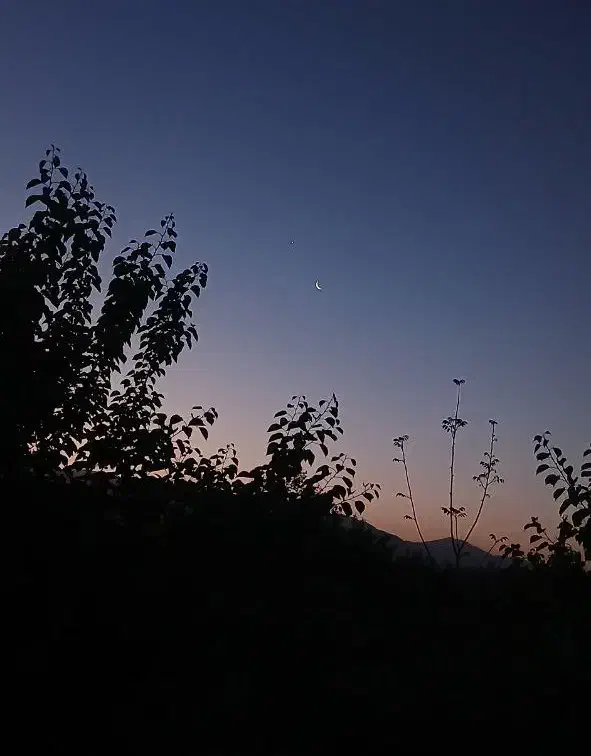 راهنمایی کنید|فعالیت داوطلبانه|شیراز, شهرک گلستان|دیوار