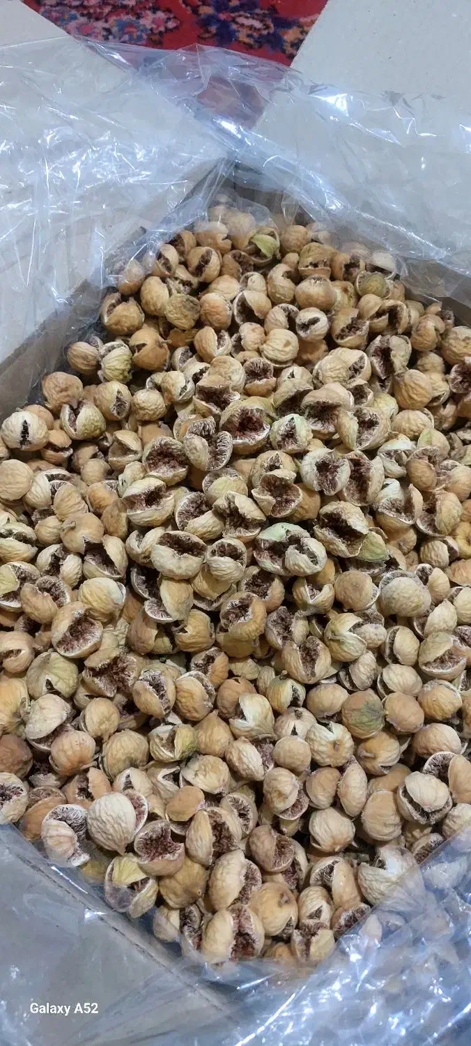 انجیر پرک استهبان|خوردنی و آشامیدنی|شیراز, شهرک نیروی انتظامی|دیوار