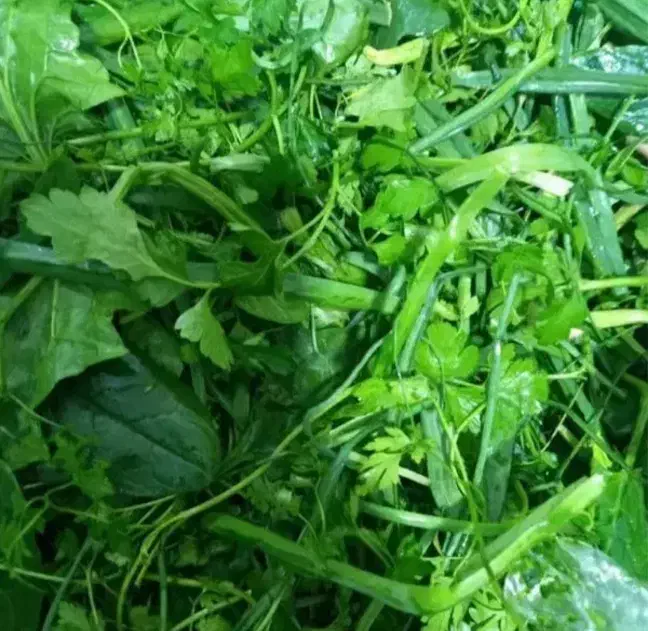 آموزش کار برای خانم ها|خدمات آموزشی|میانه, |دیوار