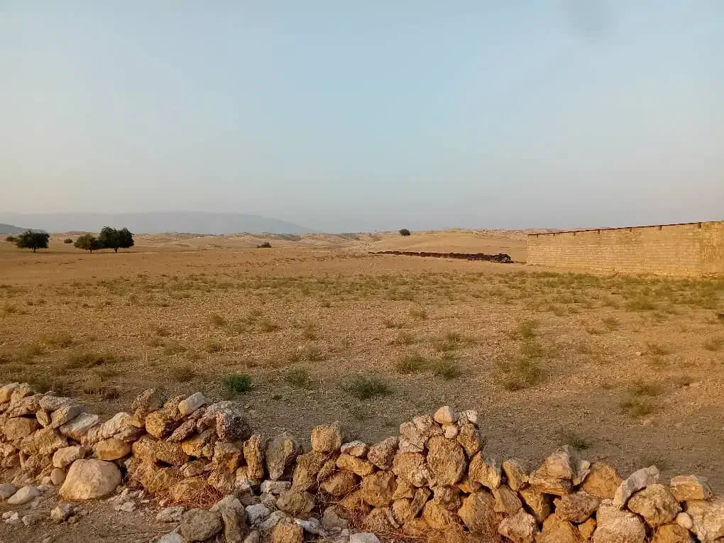 زمین کشاورزی|فروش زمین و ملک کلنگی|سوق, |دیوار