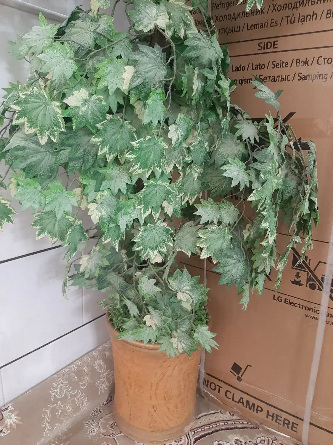 درختچه|گل مصنوعی|قم, نیروگاه|دیوار