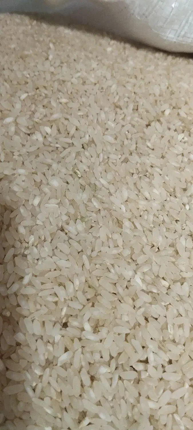 برنج کامفیروزی به شرط خرید کشاورز|خوردنی و آشامیدنی|شیراز, گود خزینه|دیوار