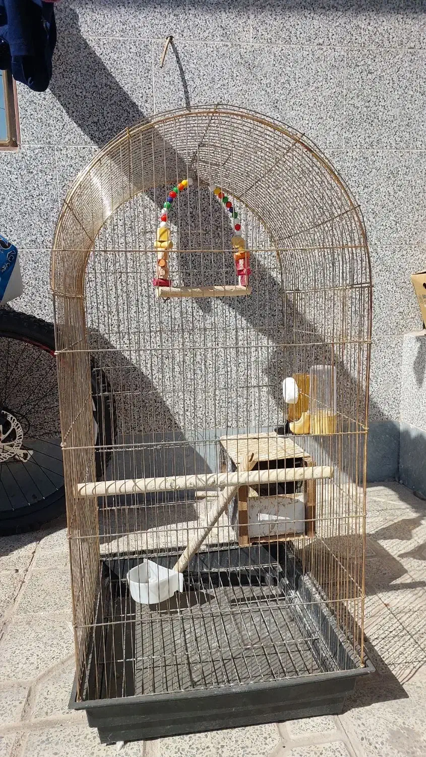 قفس پرنده|لوازم جانبی حیوانات|کرمان, |دیوار