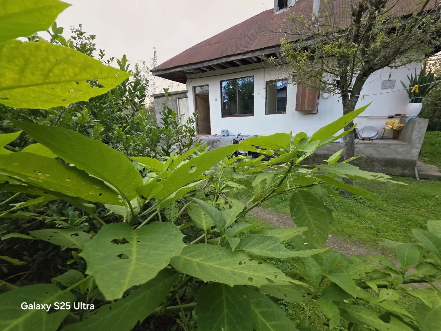 کدبادرنگ/ویلاباغ خانه بهشت۱۳۵۰متر ماهیگیری معلمساز|فروش خانه و ویلا|کوچصفهان, |دیوار
