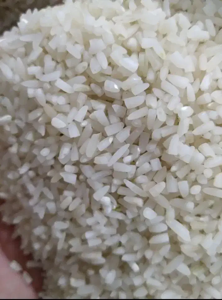 برنج نیم دانه هاشمی|خوردنی و آشامیدنی|گرگان, |دیوار