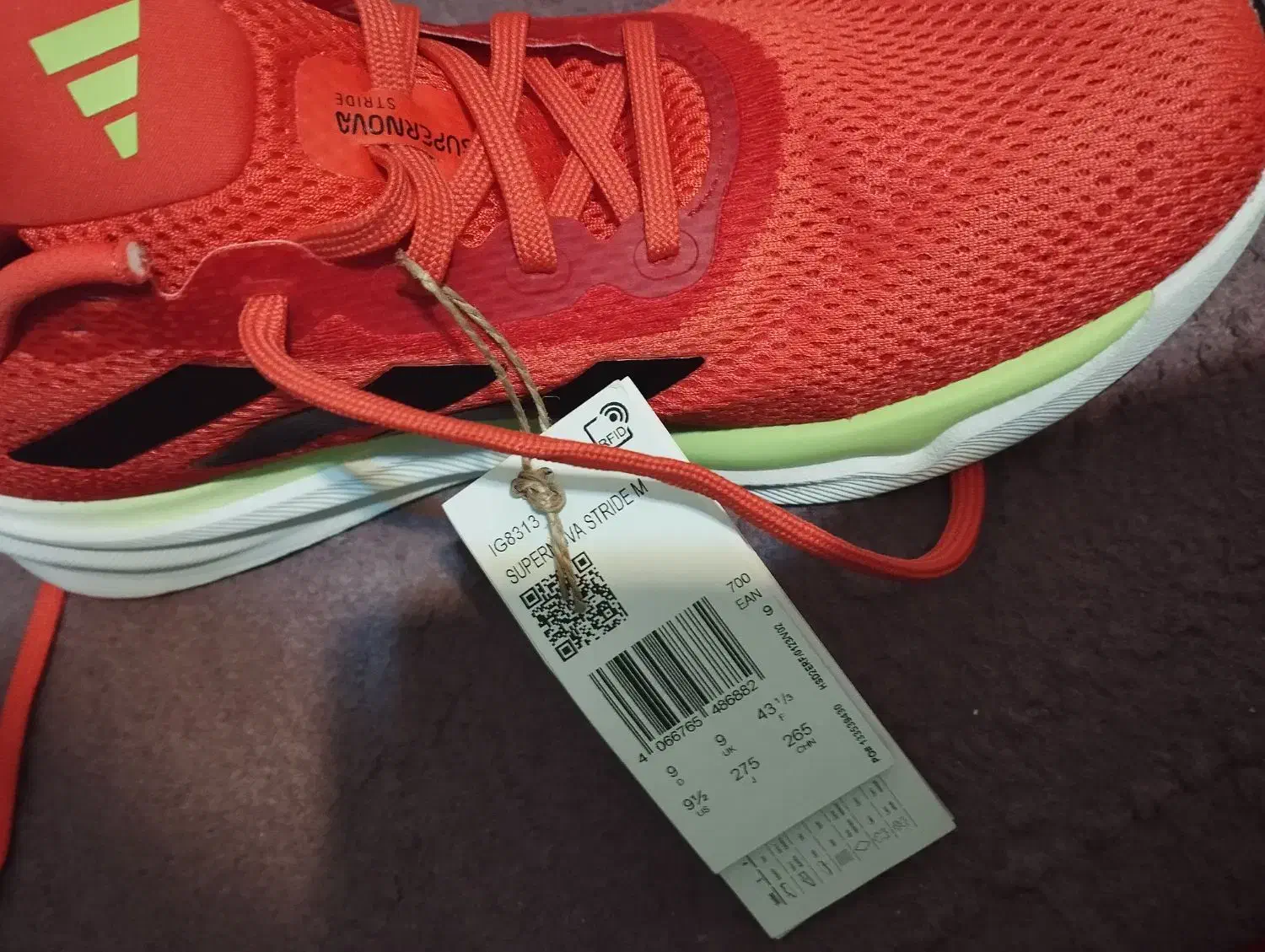 کفش|کیف، کفش، کمربند|ایلام, |دیوار