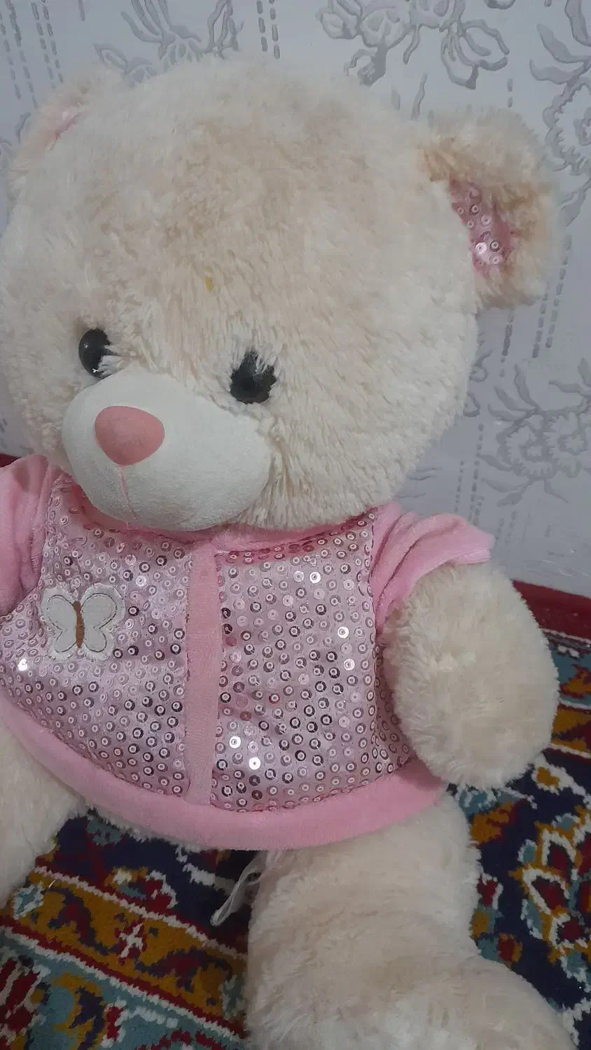 عروسک نو|اسباببازی بچه|تربتحیدریه, شهرک ولیعصر|دیوار