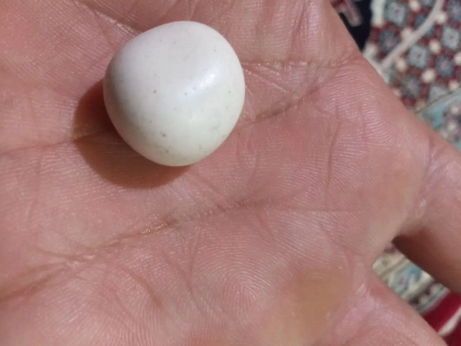 شهاب سنگ اسیاب اصل با تست وضمانت|جواهرات|اصفهان, گلستان|دیوار