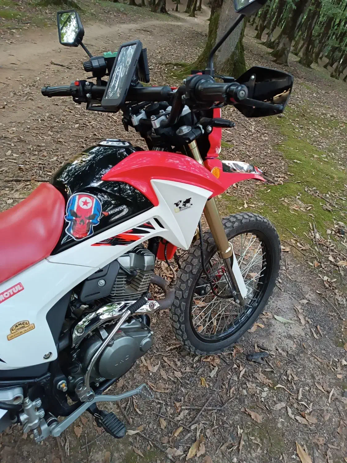 فلات ۲۰۰|موتورسیکلت|رشت, بوسار|دیوار