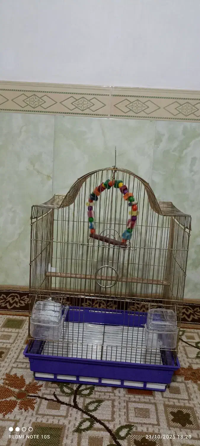 قفس پرنده|لوازم جانبی حیوانات|سبزوار, طبرسی (جعفرآباد)|دیوار
