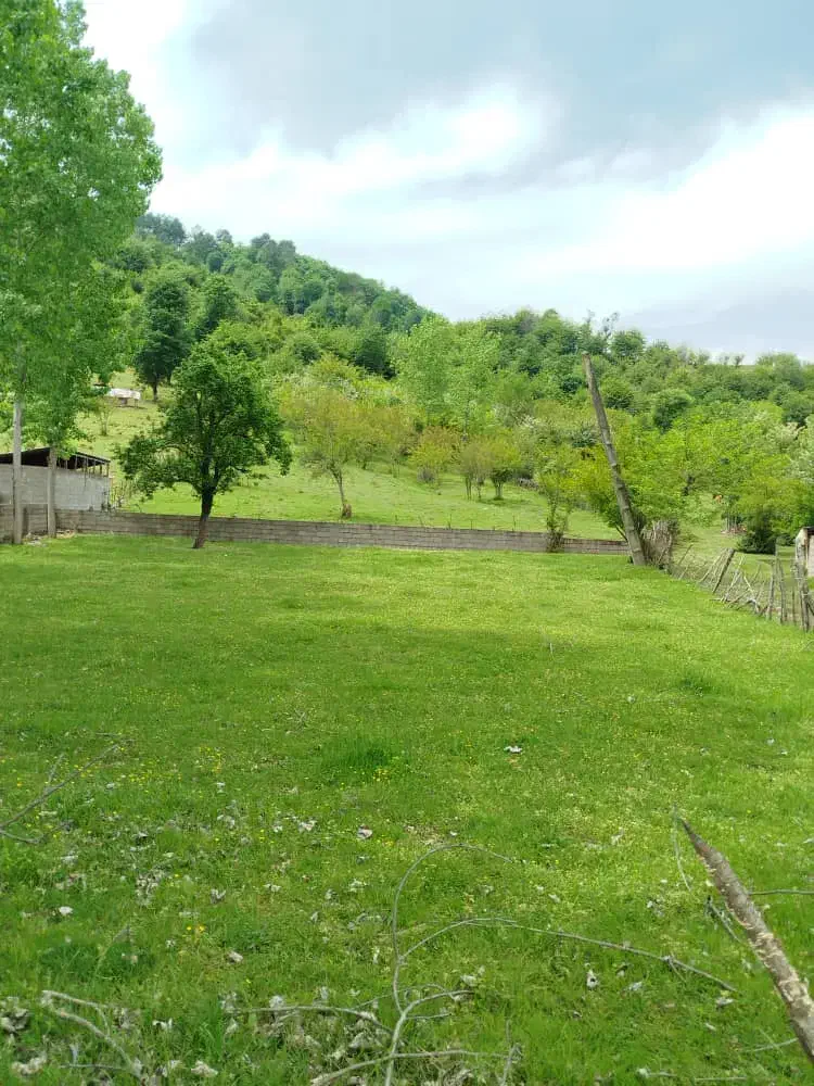 ۳۱۰مترزمین کوهپایه ای ،کاملآ مسکونی|فروش زمین و ملک کلنگی|رضوانشهر, |دیوار