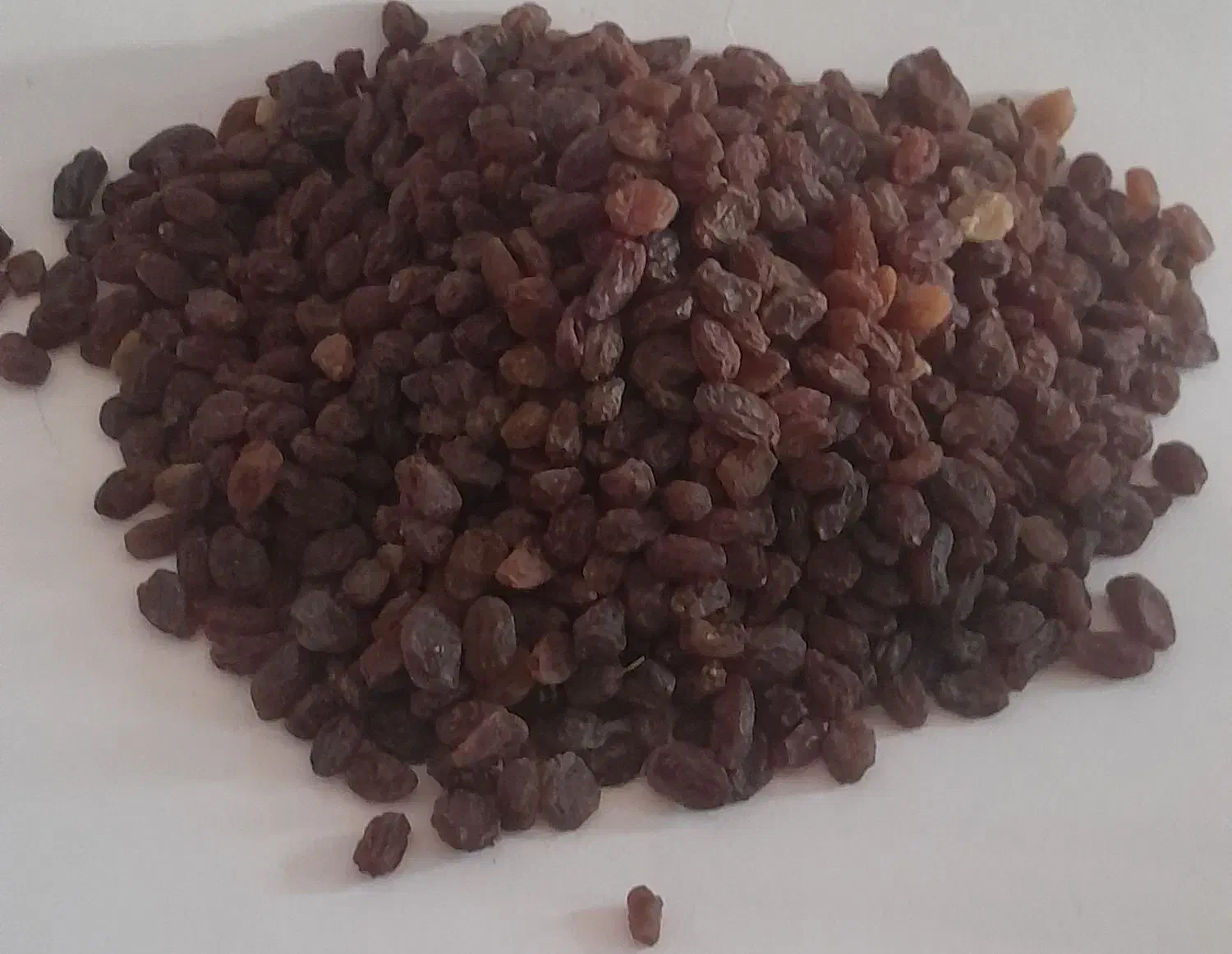 فروش کشمش بی هسته|خوردنی و آشامیدنی|نیریز, |دیوار