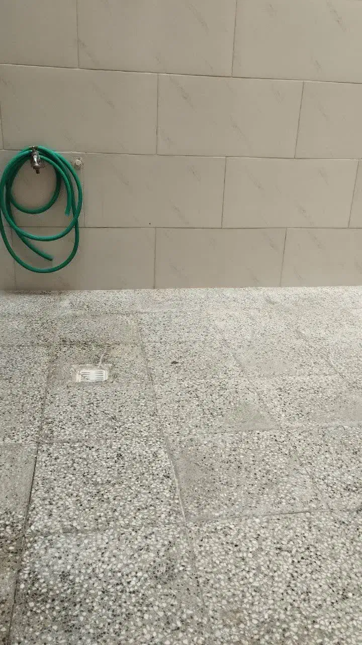 همخونه|اجارهٔ خانه و ویلا|قم, باغ شازده|دیوار