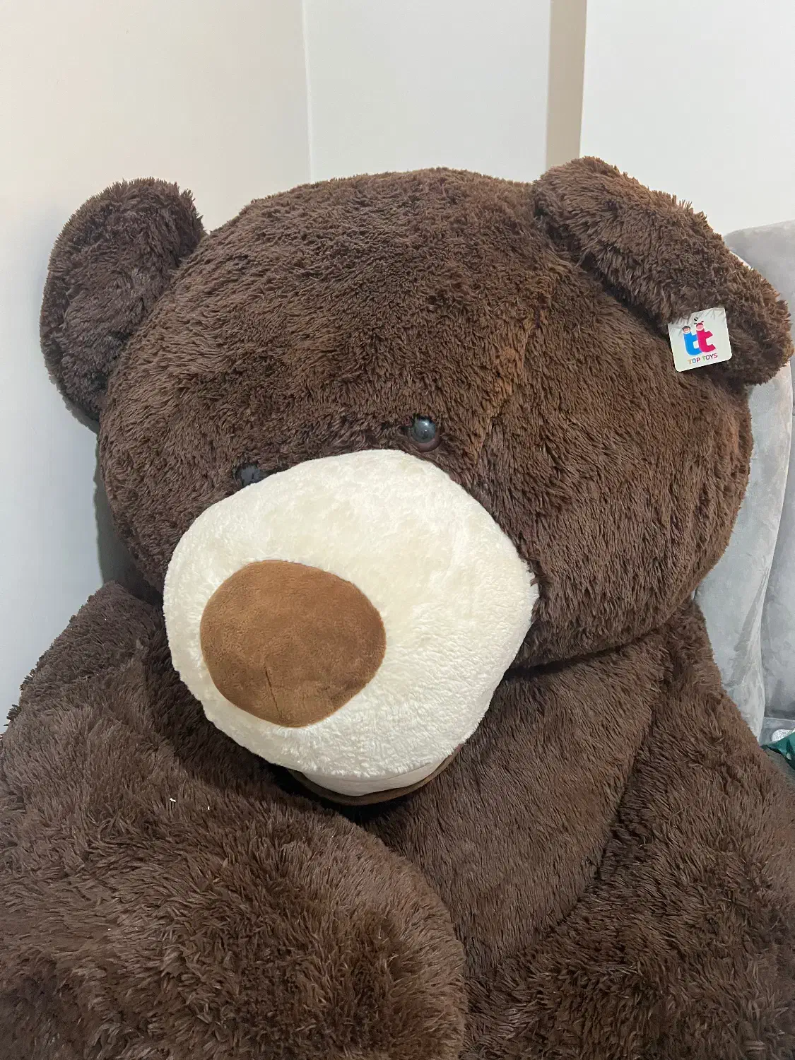 خرس بزرگ ولنتاین|اسباب‌‌بازی|تهران, گلستان (شهرک راه آهن)|دیوار