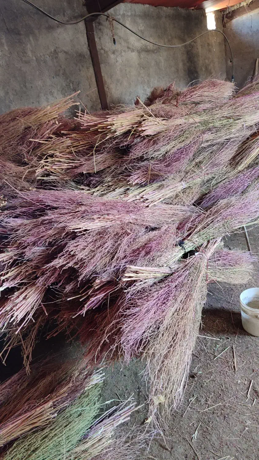 جارو|لوازم نظافت|خرمآباد, |دیوار