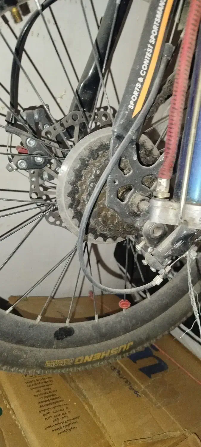 دوچرخه سایز 20|دوچرخه، اسکیت، اسکوتر|طرقبه, |دیوار