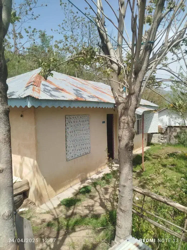 زمین ییلاقی|فروش خانه و ویلا|تالش, تالش|دیوار