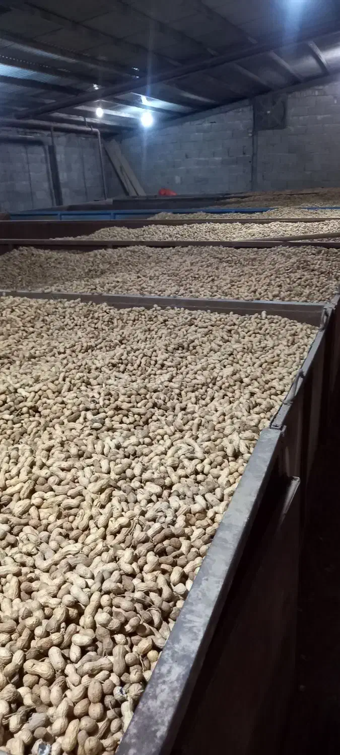 نیرو جهت کار در کارخانه بادام|استخدام صنعتی، فنی، مهندسی|لولمان, |دیوار