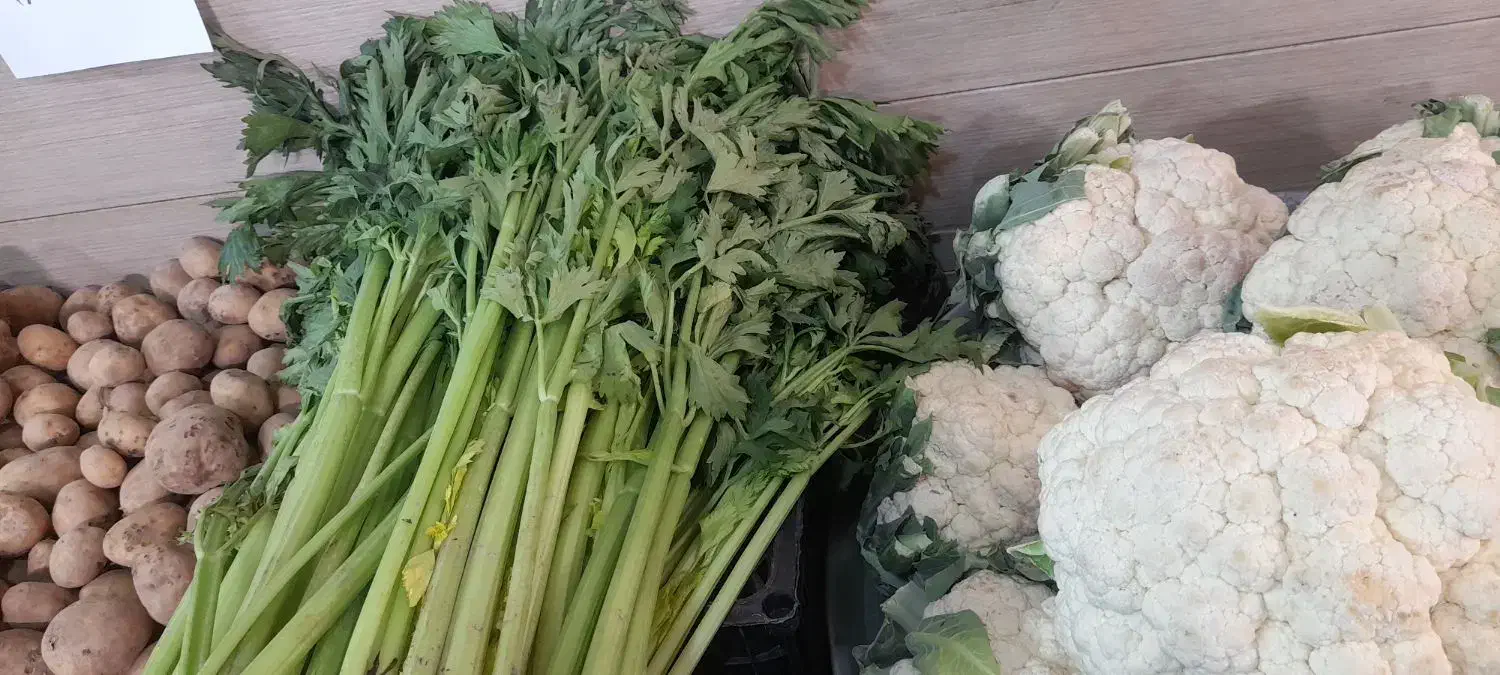 کرفس تازه ۳۵|خوردنی و آشامیدنی|مشهد, هنرور|دیوار