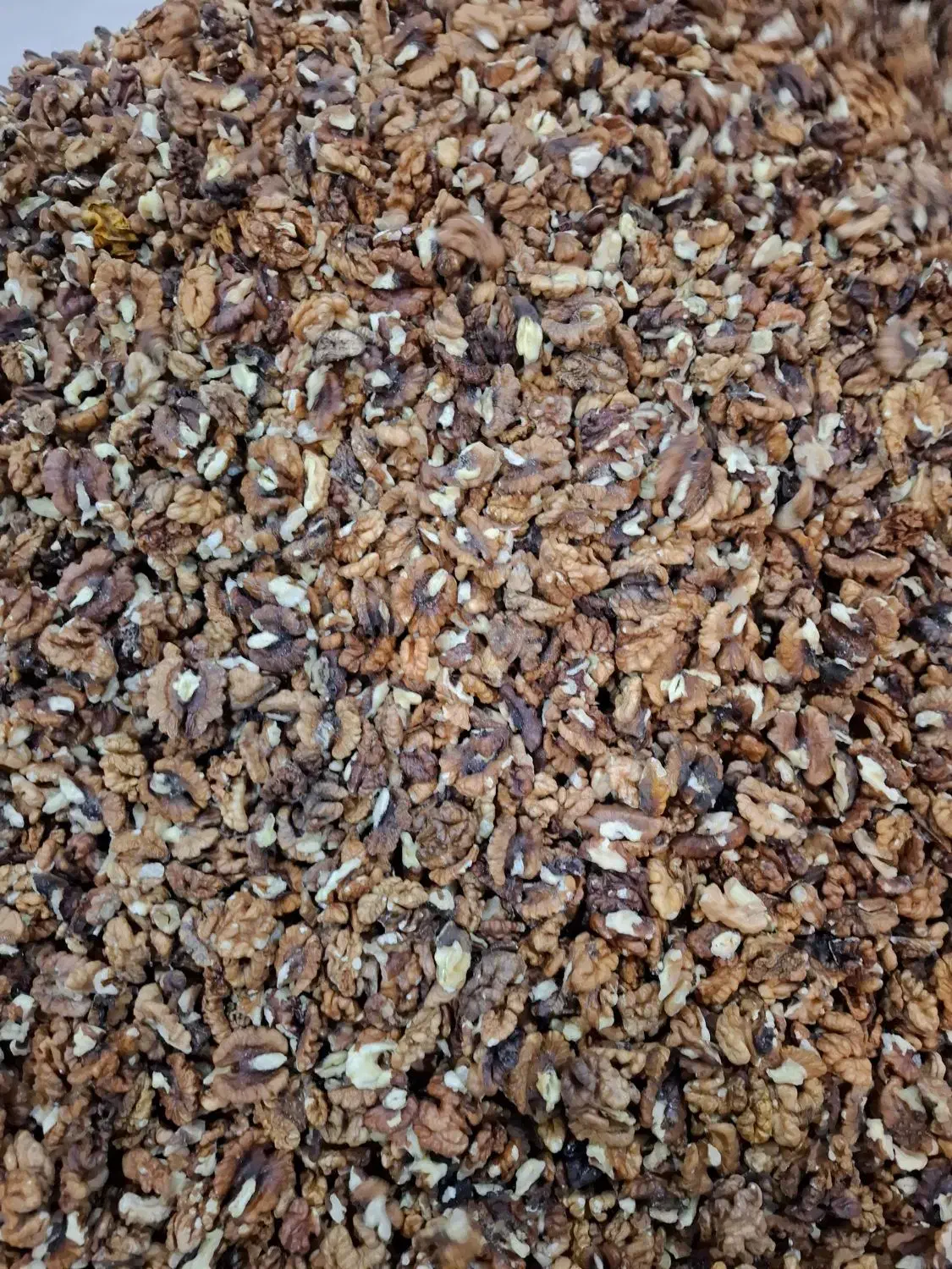 مغز گردو|خوردنی و آشامیدنی|رشت, دباغیان|دیوار