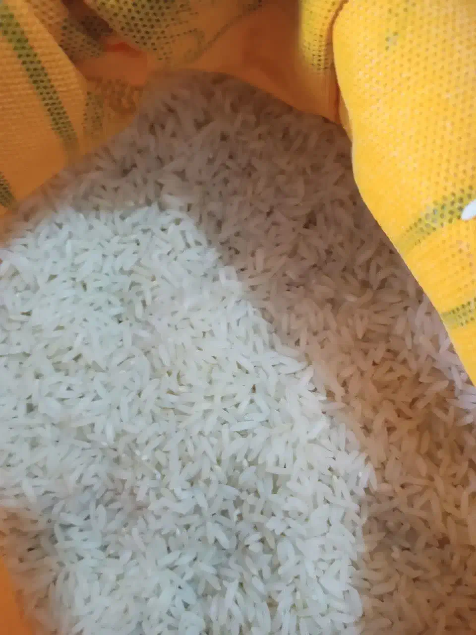 برنج‌ایرانی،کشت‌دوم،کشت‌اول،طارم هاشمی‌،فریدونکنار|خوردنی و آشامیدنی|یزد, |دیوار