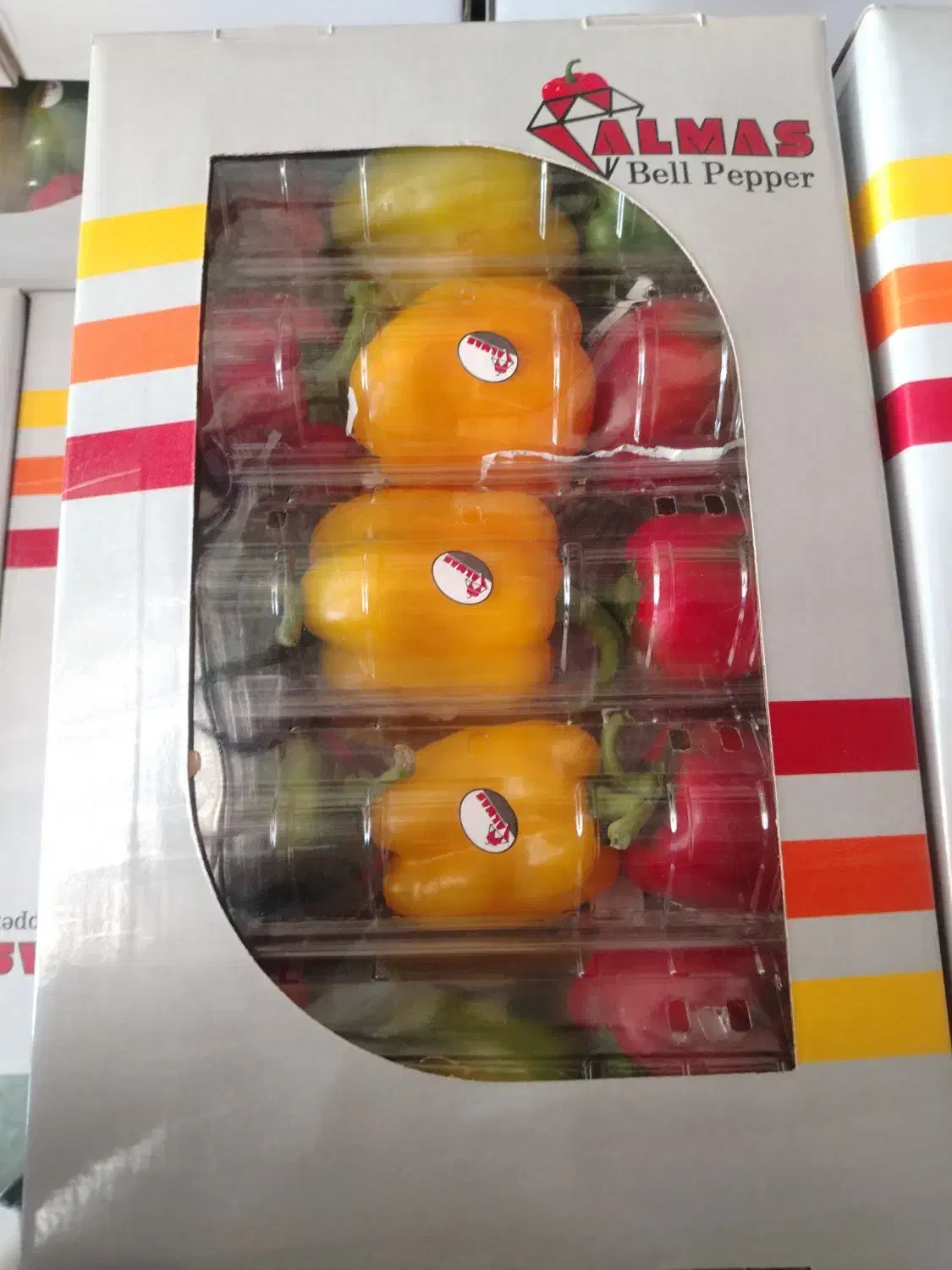 نیروی خانم جهت سورت و بسته بندی فلفل|استخدام صنعتی، فنی، مهندسی|تیران, |دیوار