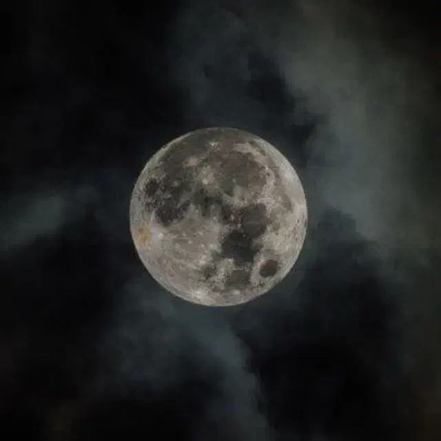 کافه چی|استخدام خدمات فروشگاه و رستوران|بیرجند, |دیوار