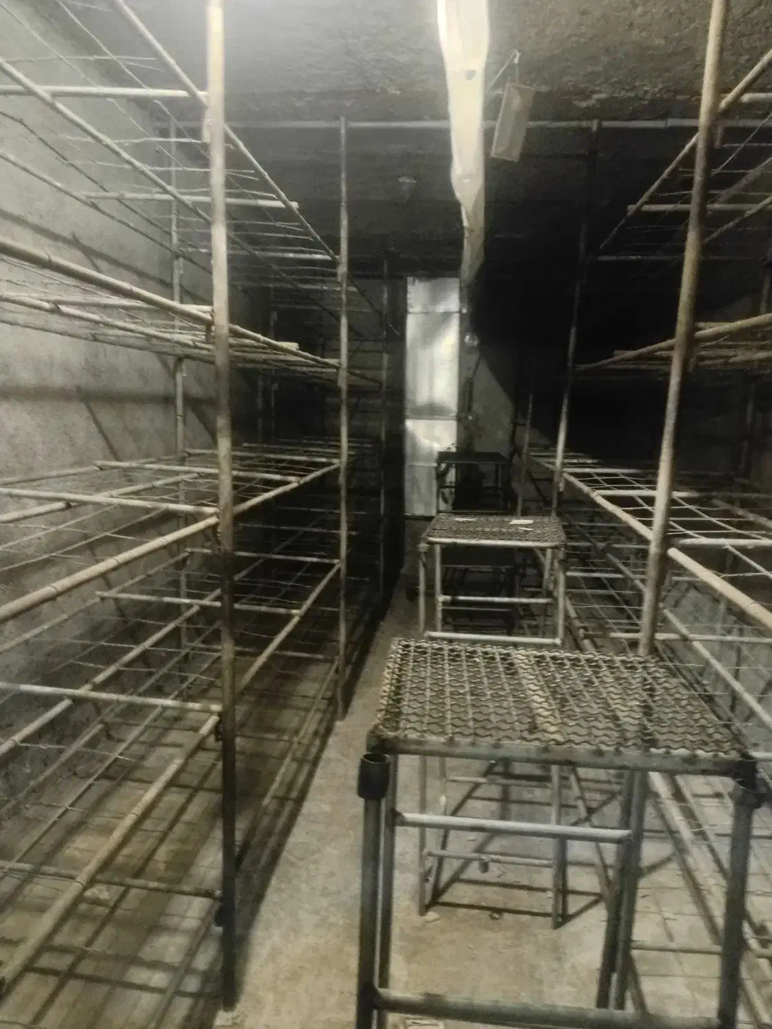 فروش کارگاه قارچ|فروش خانه و ویلا|کیار, |دیوار