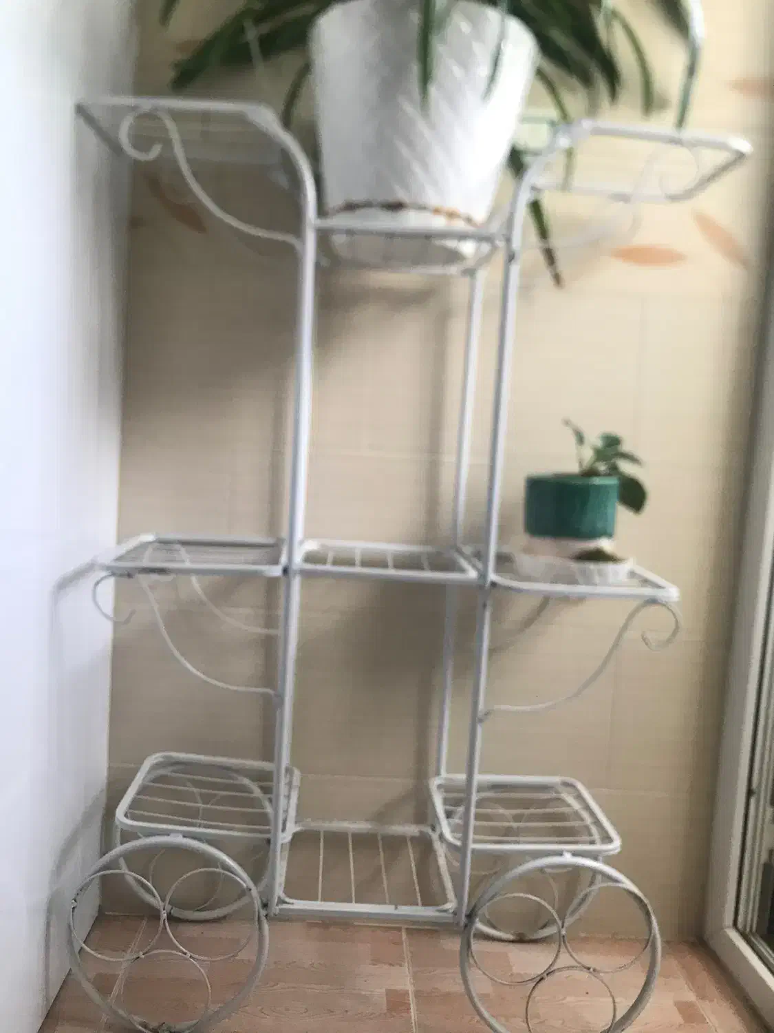 استندگل|کتابخانه، شلف، قفسه‌های دیواری|تبریز, |دیوار