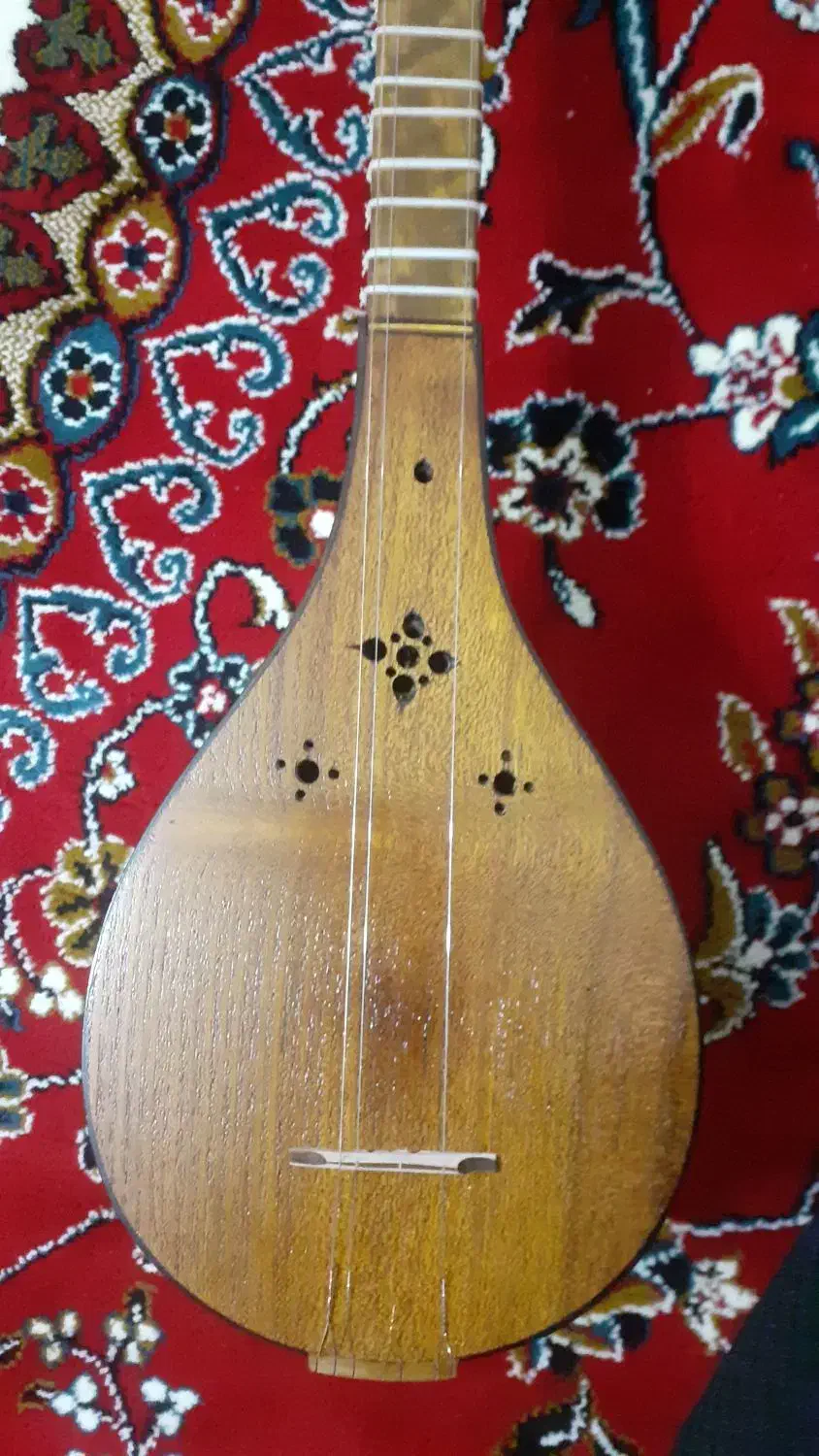 سه تار مفاخری اصل|سازهای سنتی|هشتگرد, فاز ۷ مهستان|دیوار