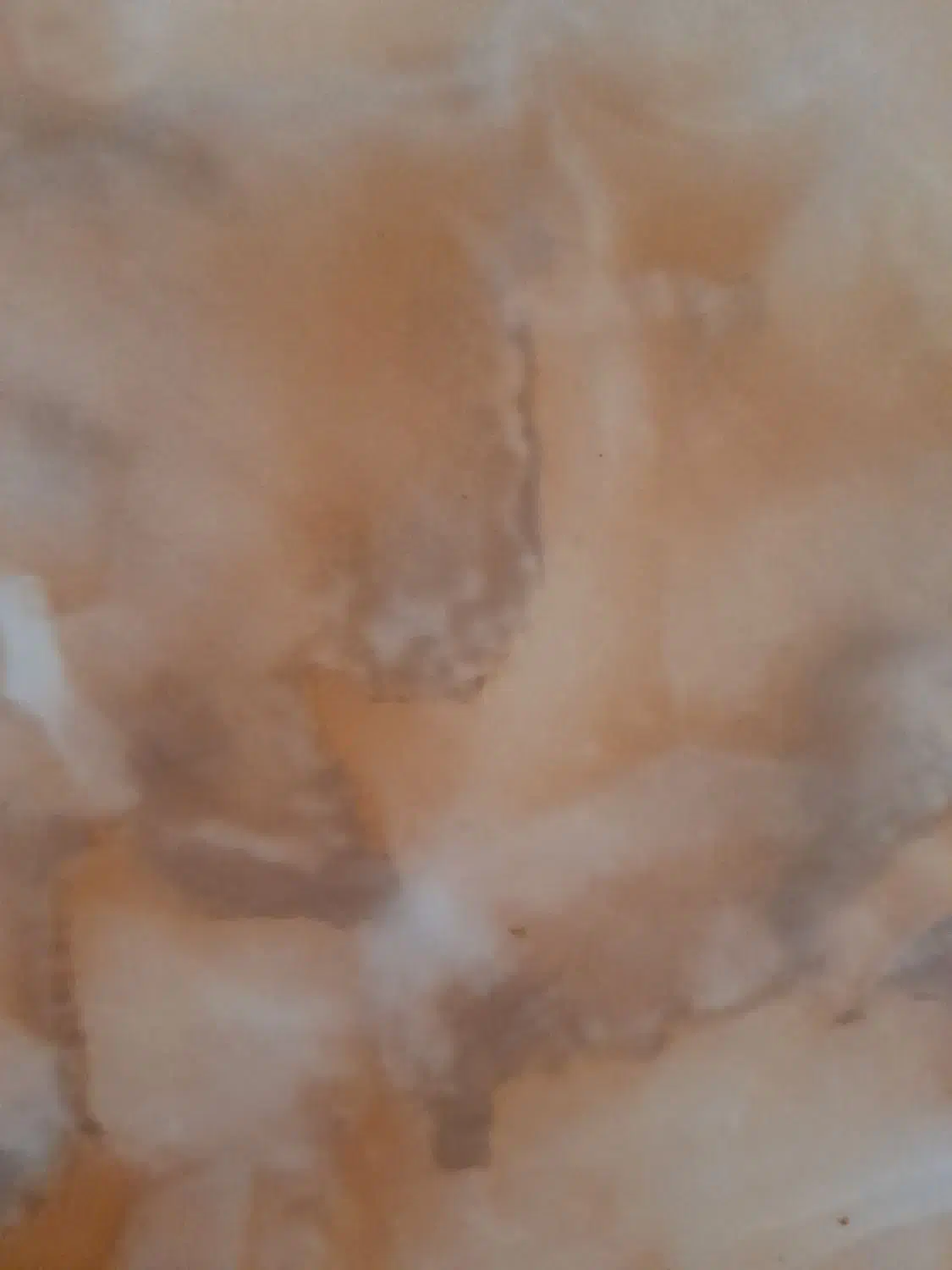 موکت پیدا شده|موکت|زاهدان, |دیوار