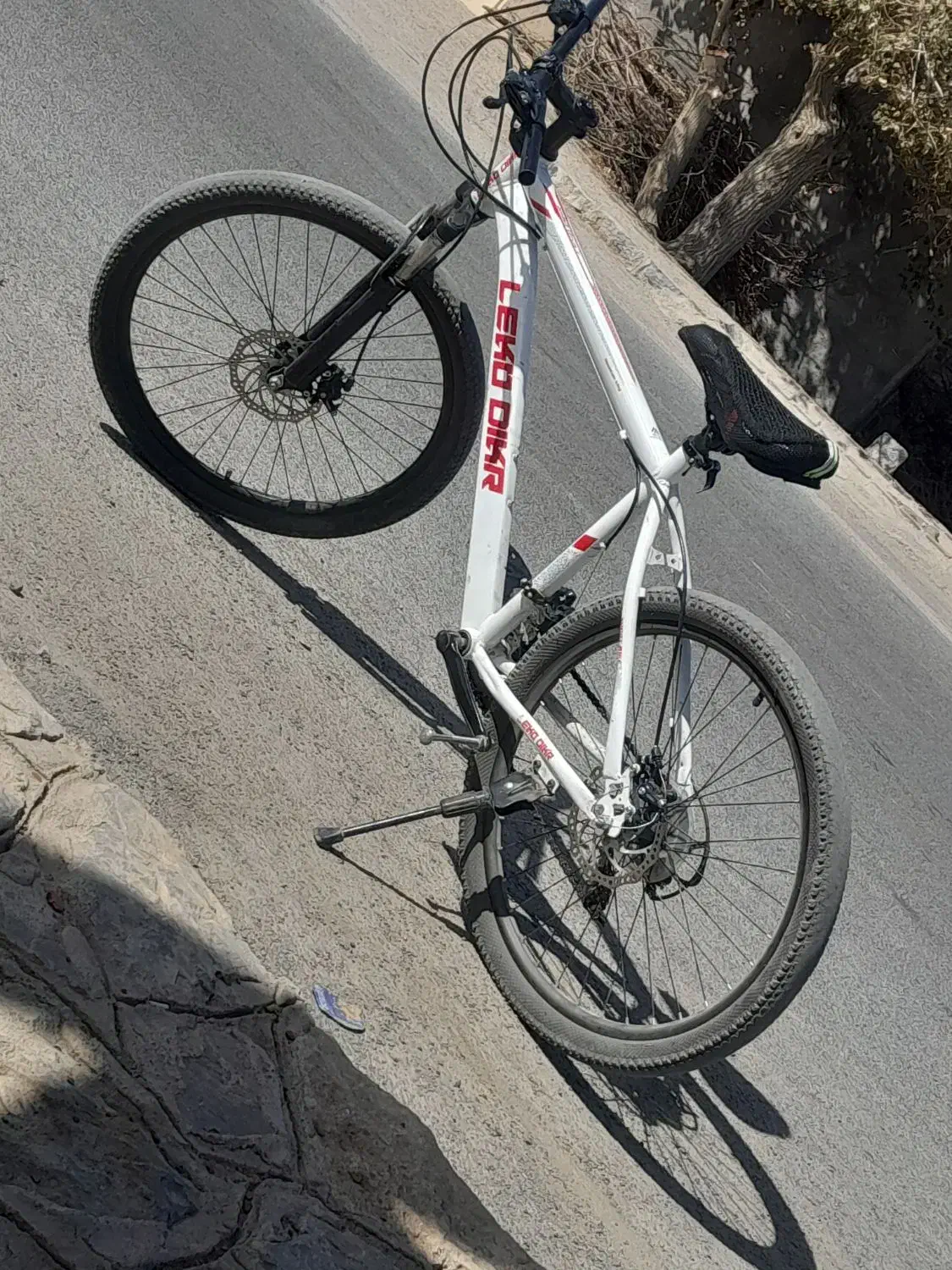 دوچرخه۲۴ دندای|دوچرخه، اسکیت، اسکوتر|اسفندقه, |دیوار