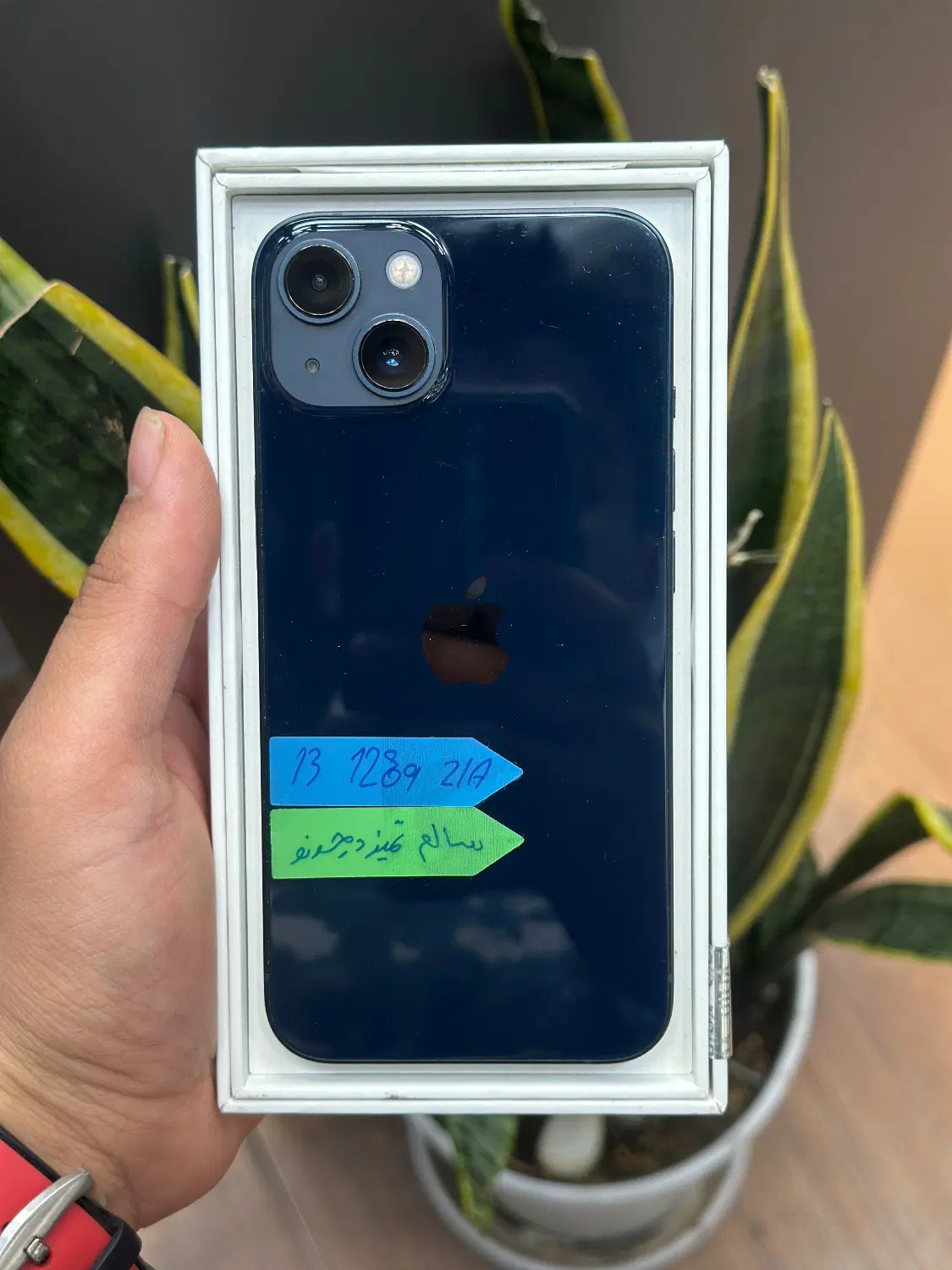 iPhone 13|موبایل|تهران, نازیآباد|دیوار