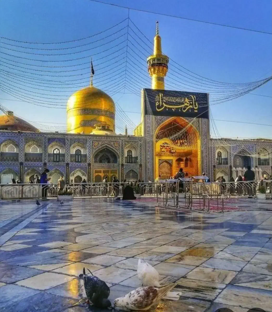 تور ریلی مشهد مقدس|تور و چارتر|تهران, سلسبیل شمالی|دیوار