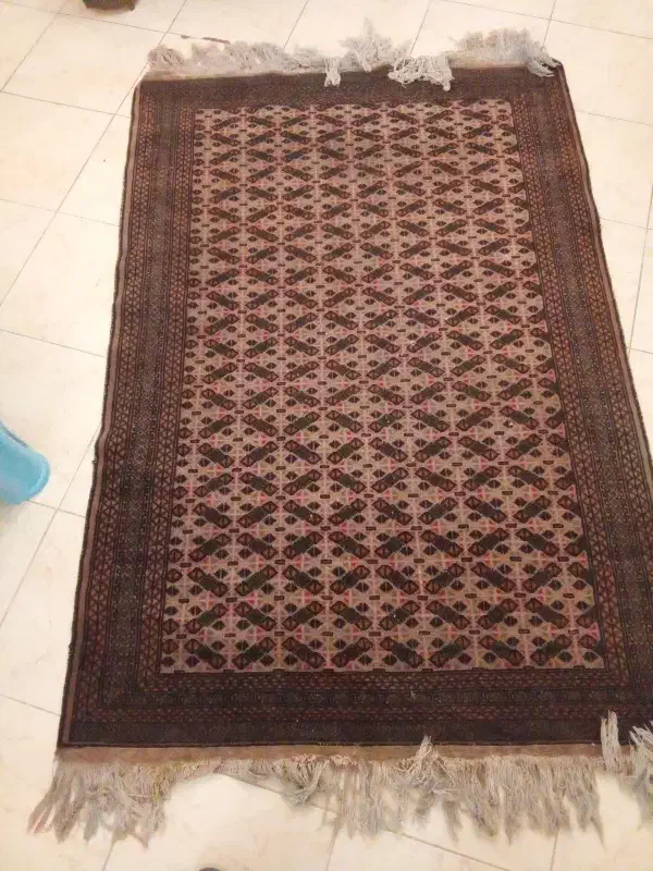 فرش عتیقه|فرش|محمدیه-قزوین, |دیوار