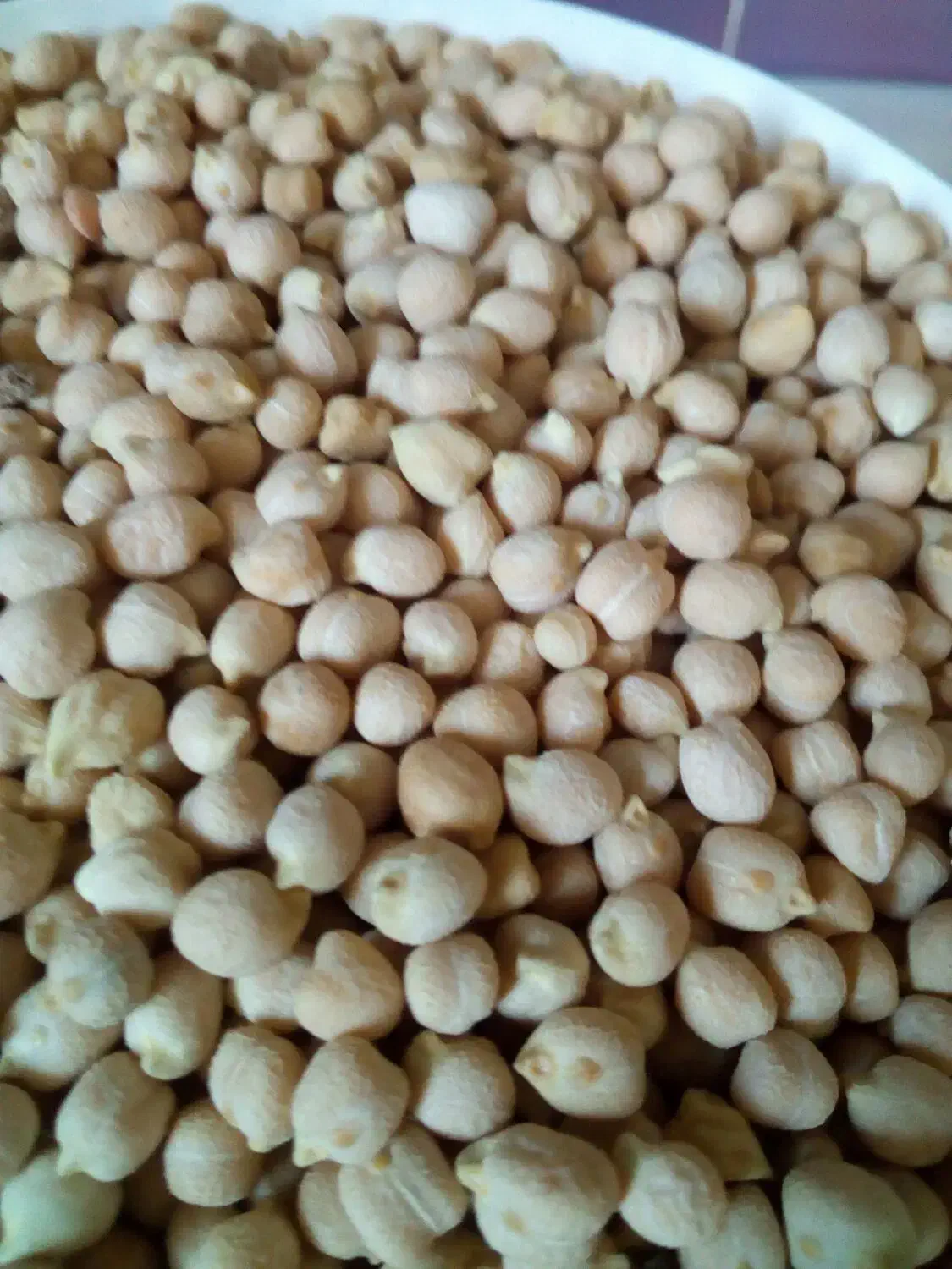 فروش نخود محلی|خوردنی و آشامیدنی|کامفیروز, |دیوار