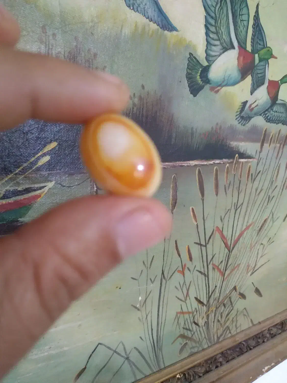 سنگ سلیمانی سه پوسته|جواهرات|بوشهر, |دیوار