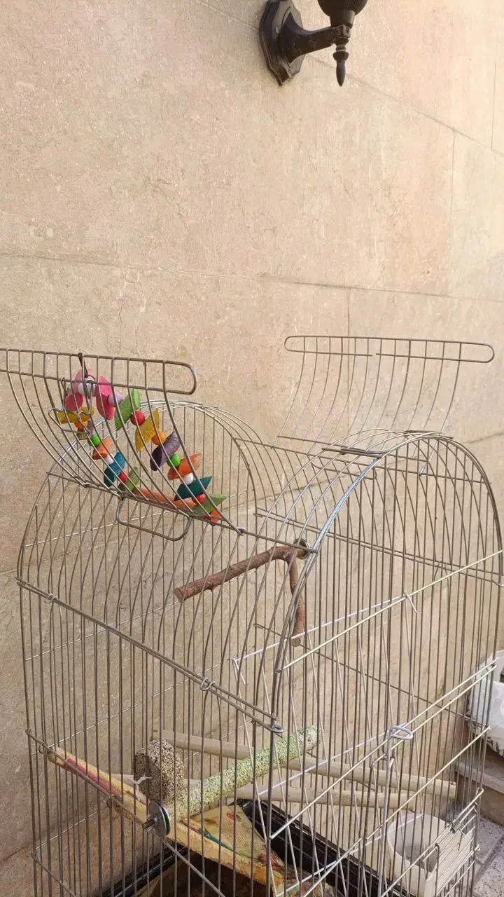 قفس طوطی|لوازم جانبی حیوانات|مشهد, کارگران|دیوار