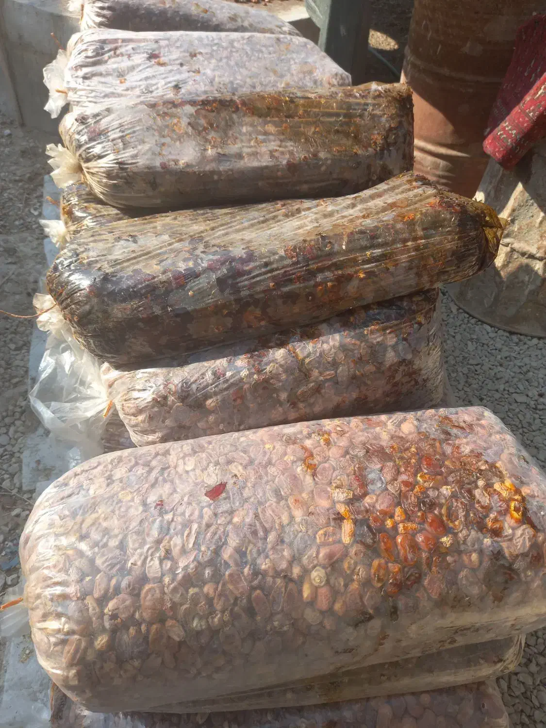 ضایعات خرما|خوردنی و آشامیدنی|وحدتیه, |دیوار