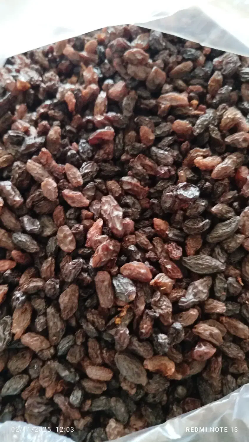 فروش کشمش|خوردنی و آشامیدنی|ایوان, |دیوار