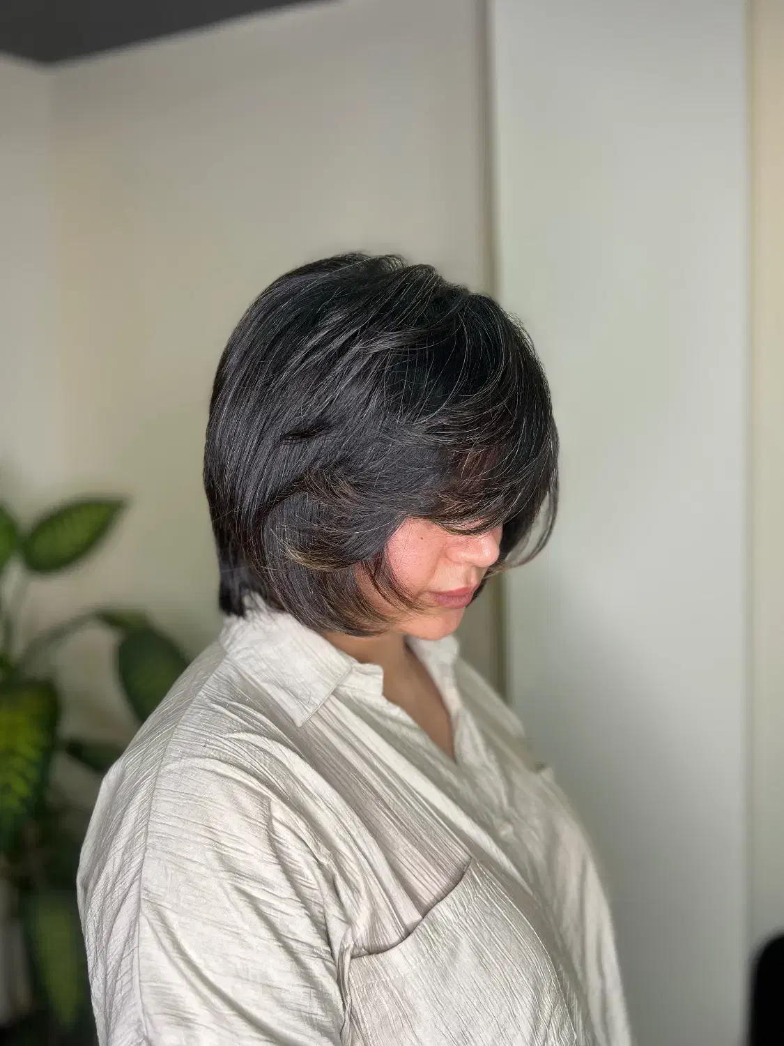 مدل برای کوتاهی در سالن زیبایی مجلل|خدمات آرایشگری و زیبایی|رشت, بوسار|دیوار