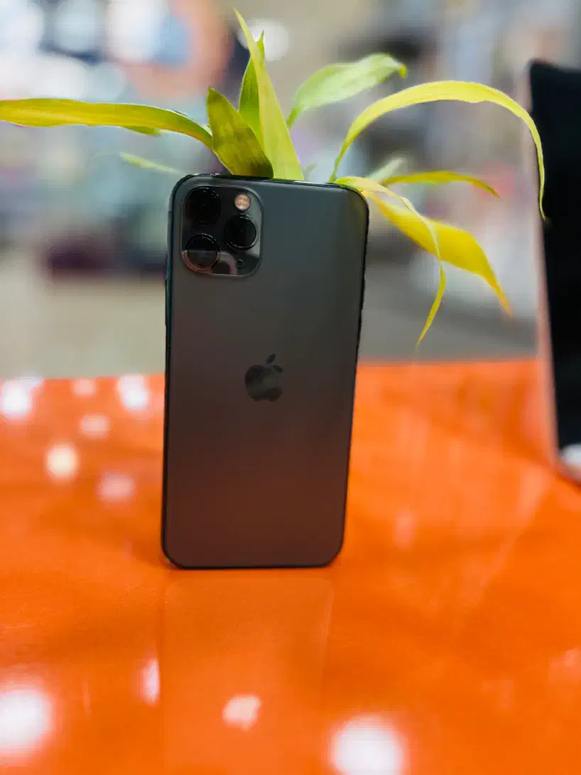 Iphone11pro|موبایل|بندرعباس, |دیوار
