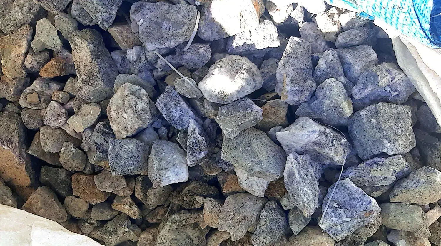 فروش فلورین|خدمات پیشه و مهارت|تهران, زرگنده|دیوار