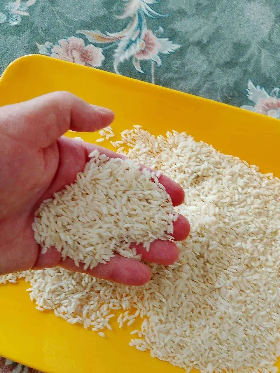 برنج|خوردنی و آشامیدنی|کرج, کوی کارمندان جنوبی|دیوار