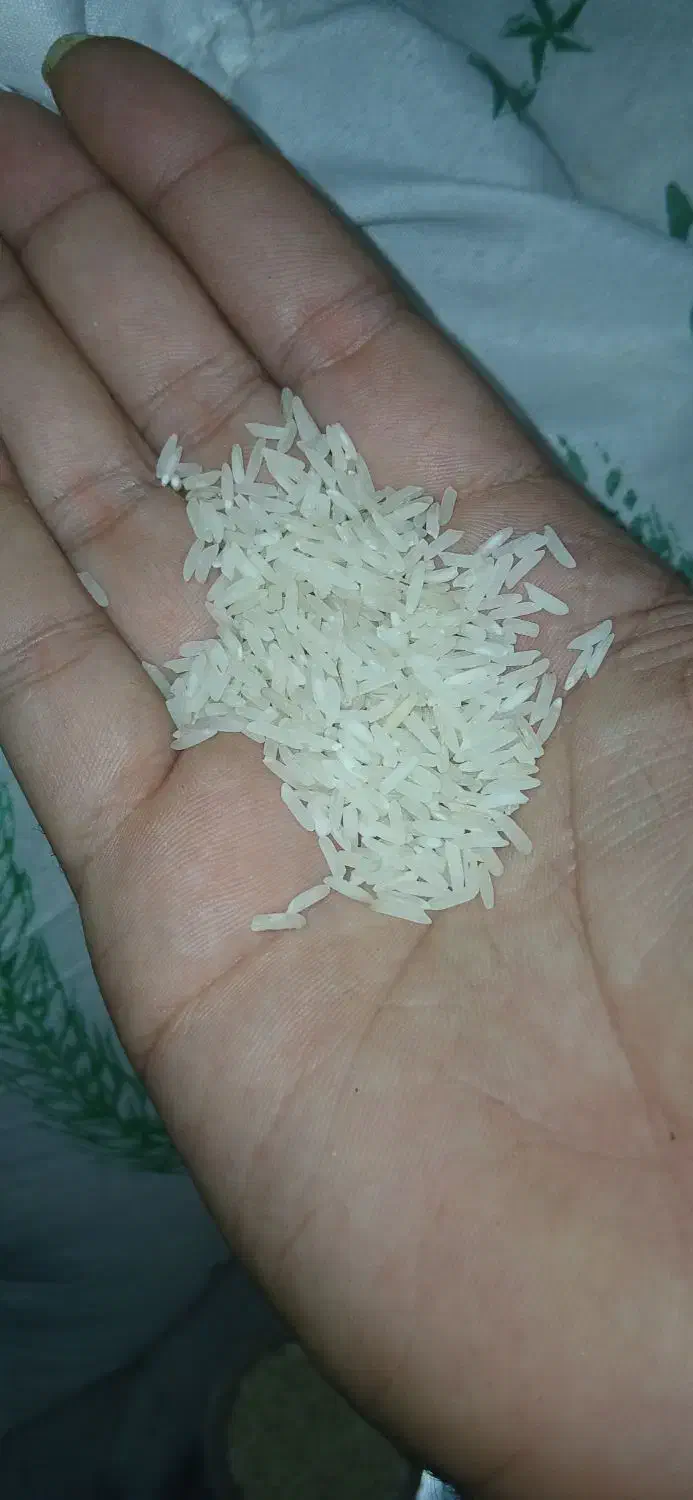 انواع برنج ایرانی اعلا|خوردنی و آشامیدنی|تهران, فردوس|دیوار