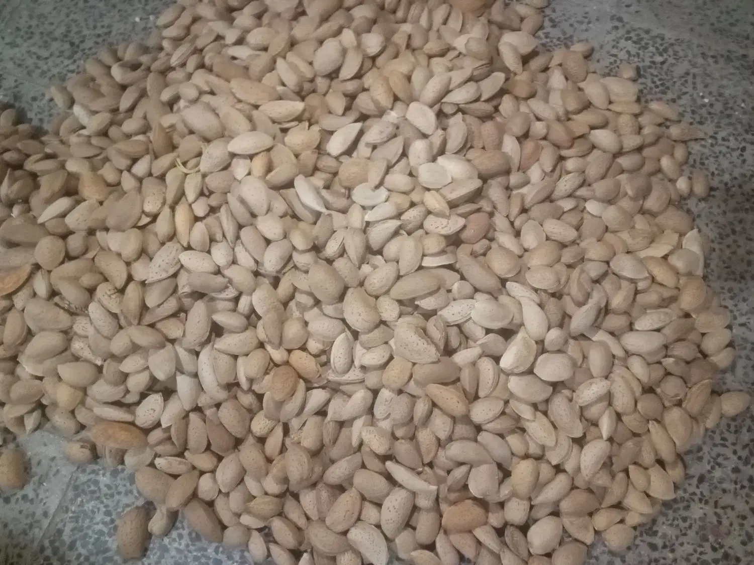 بادام درختی 100شیرین|عمده‌فروشی|آذرشهر, |دیوار