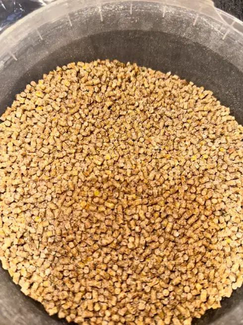 دان مرغ و اردک تخمگذار و گوشتی و سوپر استارتر جوجه|لوازم جانبی حیوانات|تهران, شهران شمالی|دیوار